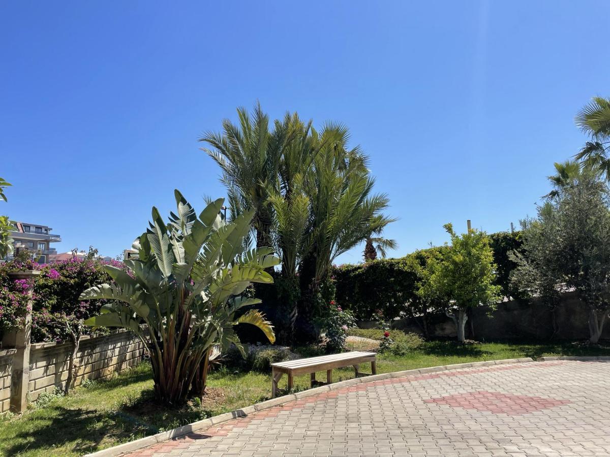 Sa Apartments! 300M To The Beach Alanya Eksteriør billede