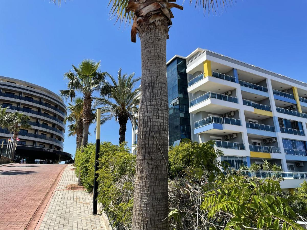 Sa Apartments! 300M To The Beach Alanya Eksteriør billede